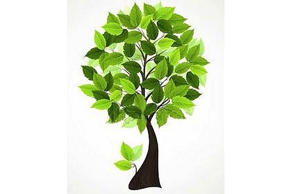 6-я Международная научно-практическая конференция «Организация и обслуживание парков и других зеленых общественных территорий»